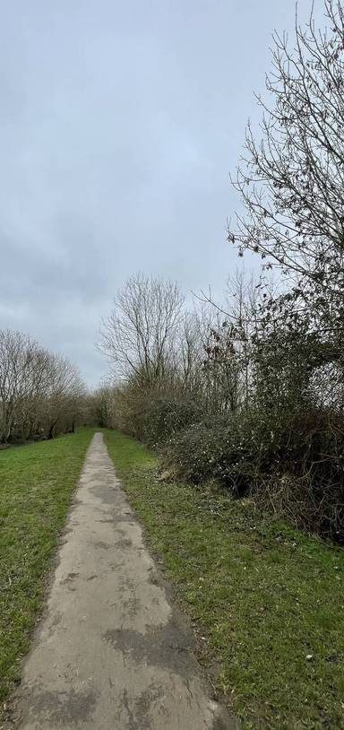 Preview of Beacon Hall & Eckweek Green