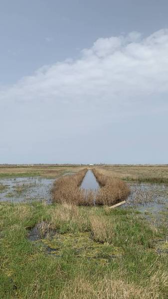 Preview of Wallasea Island RSPB Reserve
