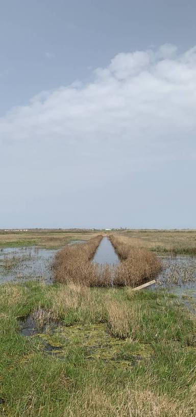 Preview of Wallasea Island RSPB Reserve