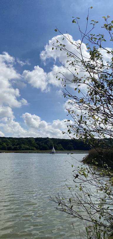 Preview of Melton to Woodbridge Riverside Walk