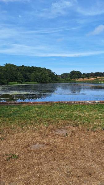 Preview of Felbrigg Woods and Lake Walk