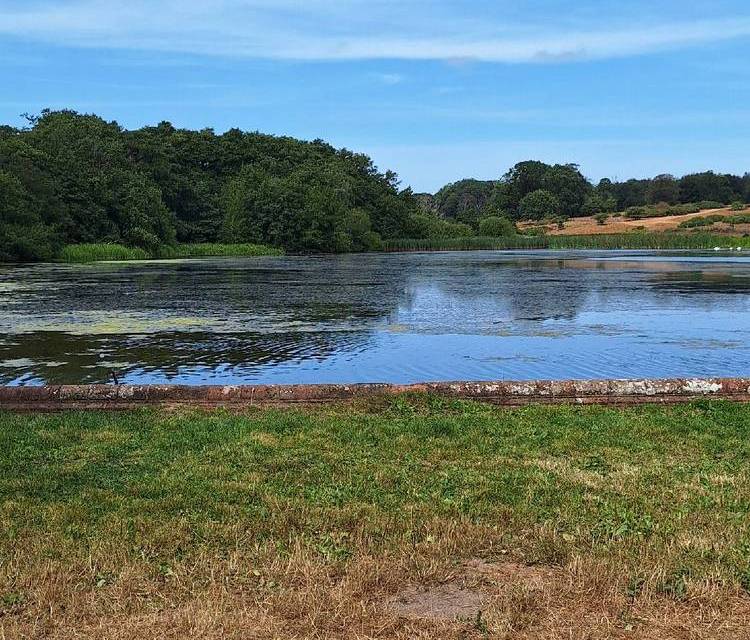 Preview of Felbrigg Woods and Lake Walk