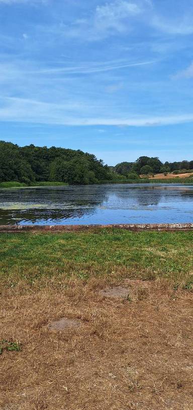 Preview of Felbrigg Woods and Lake Walk