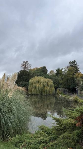 Preview of Brent Cross to Dreamy Hampstead