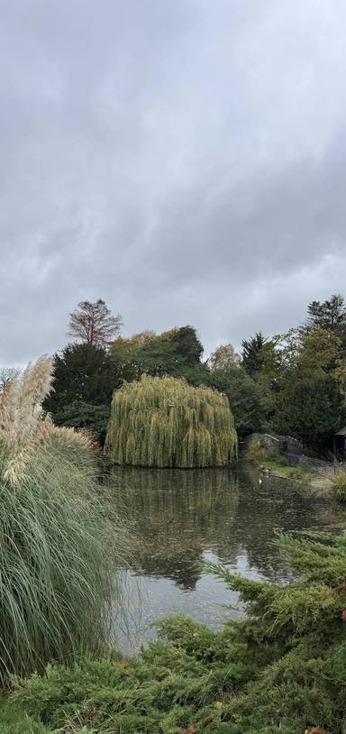 Preview of Brent Cross to Dreamy Hampstead
