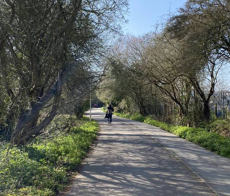 Preview of Central Park to Hylands Park Wander