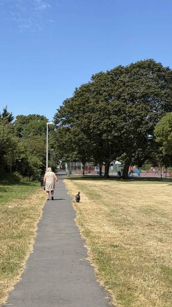 Preview of Coronation Park Walk