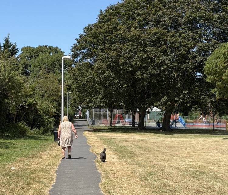 Preview of Coronation Park Walk