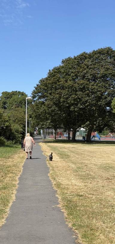 Preview of Coronation Park Walk