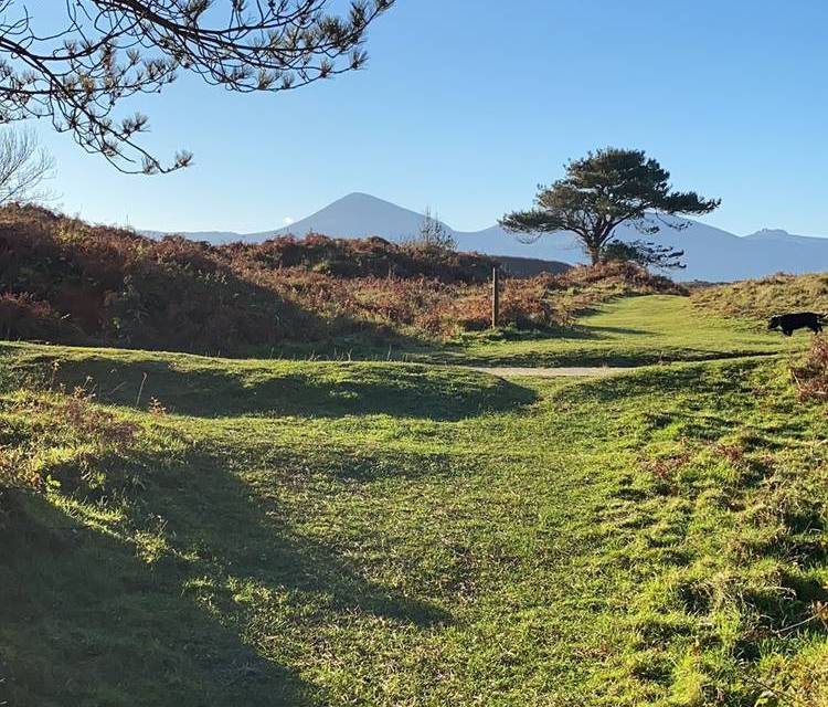 Preview of Murlough beach & bracken