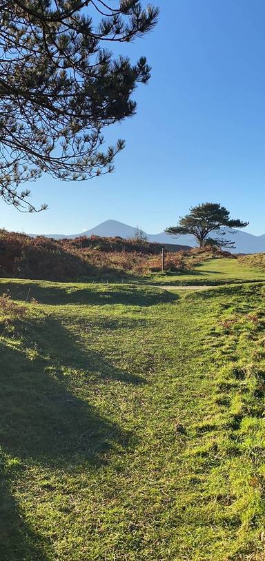 Preview of Murlough beach & bracken