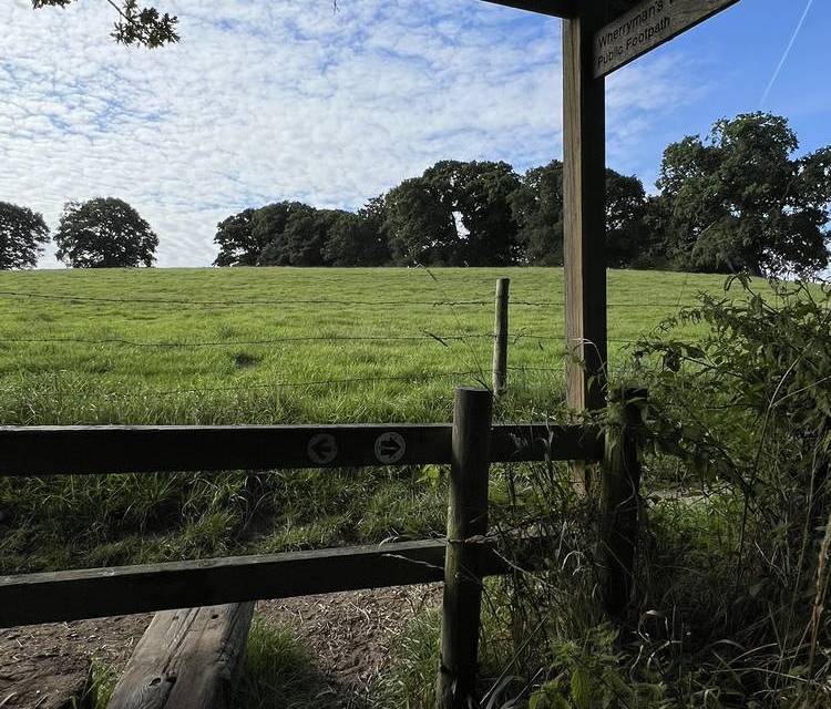 Preview of RSPB Surlingham Walk