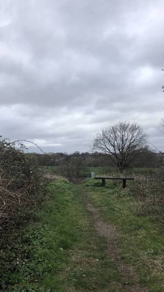 Preview of TfL20 Nature Reserve Walk 