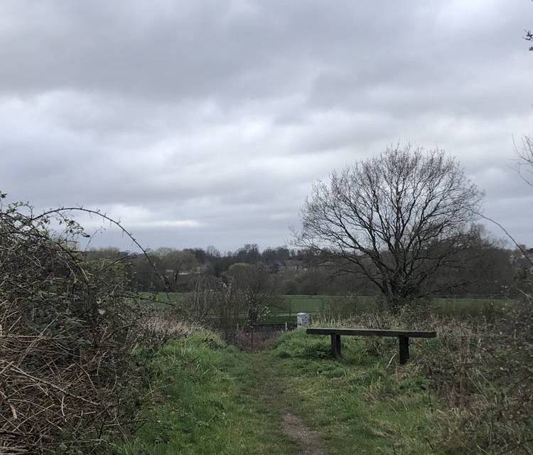 Preview of TfL20 Nature Reserve Walk