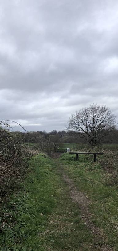 Preview of TfL20 Nature Reserve Walk