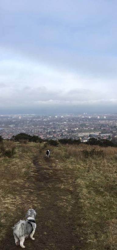 Preview of Glennifer Braes Short Loop
