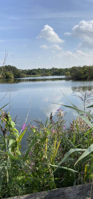 Preview of Thames Estuary Path Section 2