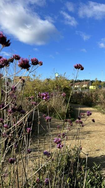 Preview of Cramlington Hospital - Rail Station