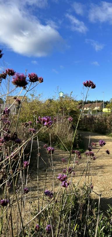 Preview of Cramlington Hospital - Rail Station