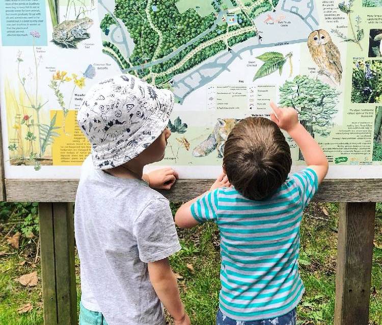 Preview of Nature walk for little legs