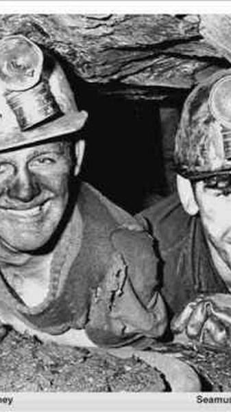 Preview of Coal Mine Walk / Dameemilypark 