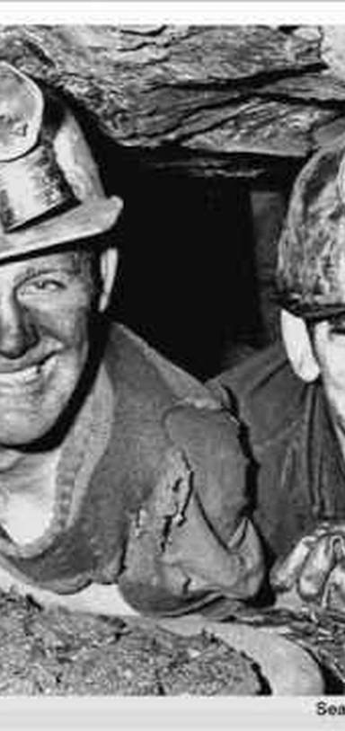 Preview of Coal Mine Walk / Dameemilypark