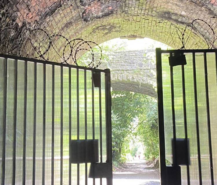 Preview of Tidenham Tunnel in Spring & Summer