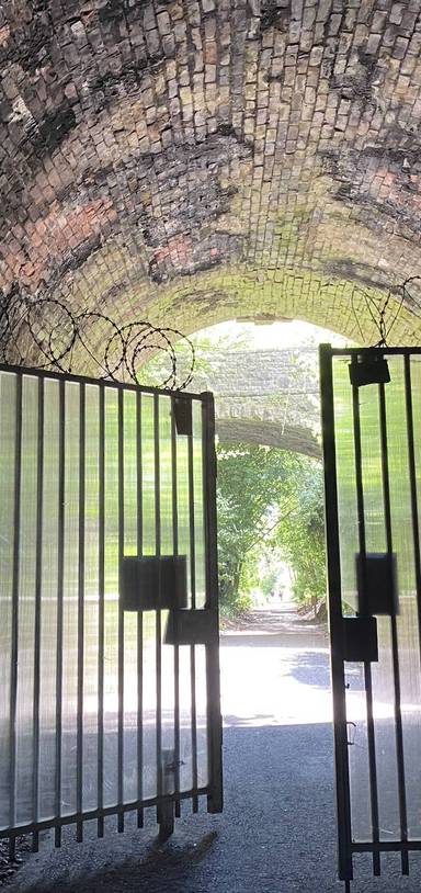 Preview of Tidenham Tunnel in Spring & Summer