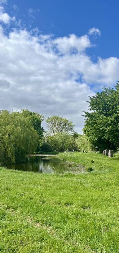 Preview of All Saints Circular