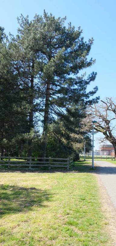 Preview of The Orbital at The Garrison