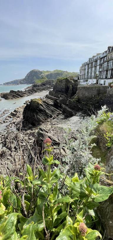 Preview of Ilfracombe Seascape - Step Free