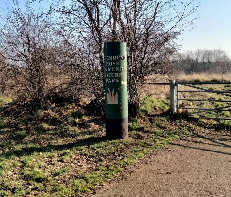 Preview of Greenhead Moss and Perchy Pond