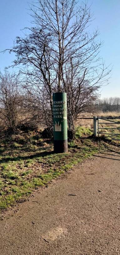 Preview of Greenhead Moss and Perchy Pond