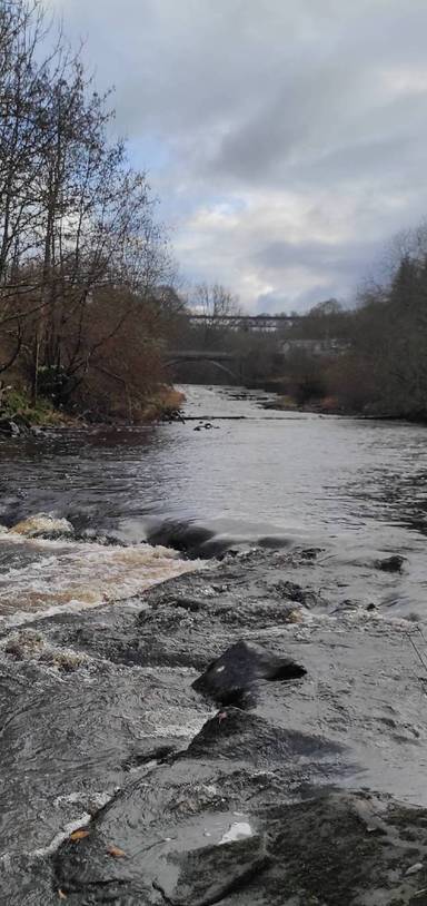 Preview of Millheugh and Chatelherault