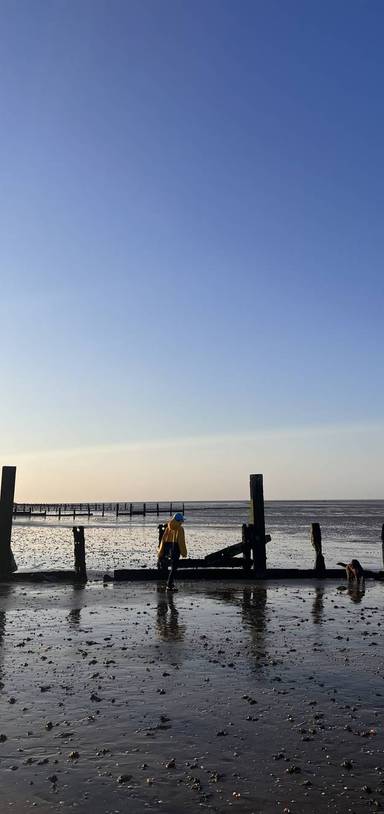 Preview of Swale & Shellness Nature Reserve