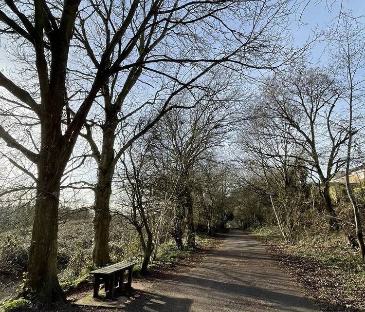 Preview of Wellow Brook Greenway Stretcher