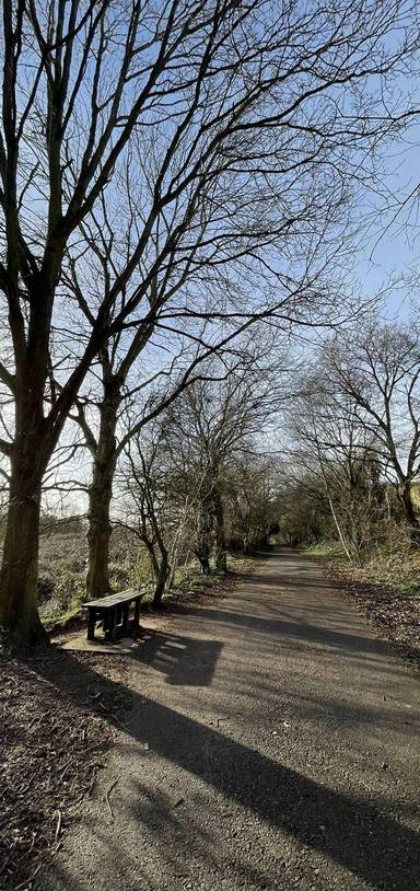 Preview of Wellow Brook Greenway Stretcher