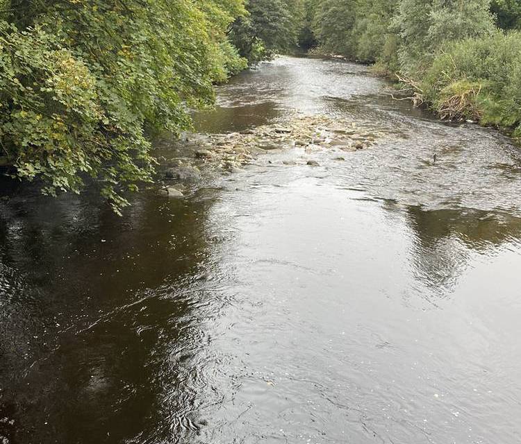 Preview of Plumbridge Drumnaspar Walk