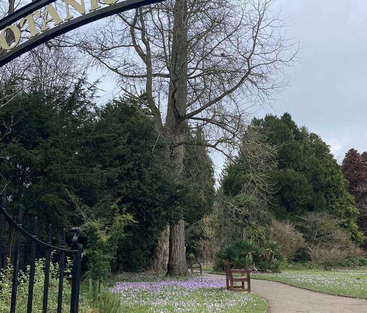Preview of Royal Victoria Park Highlights