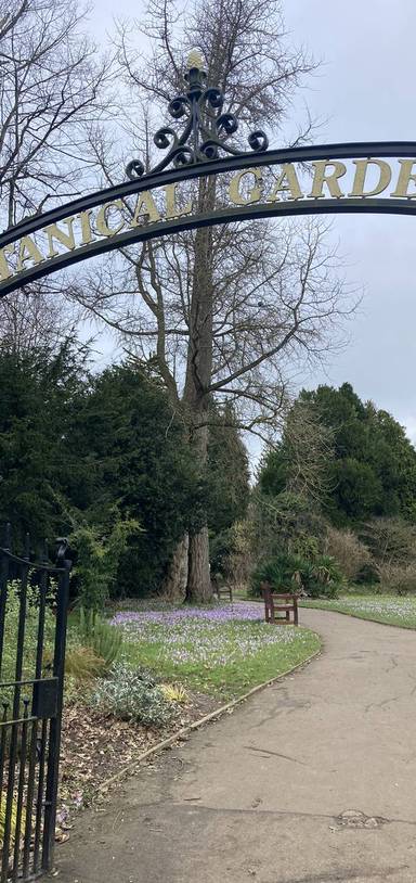 Preview of Royal Victoria Park Highlights