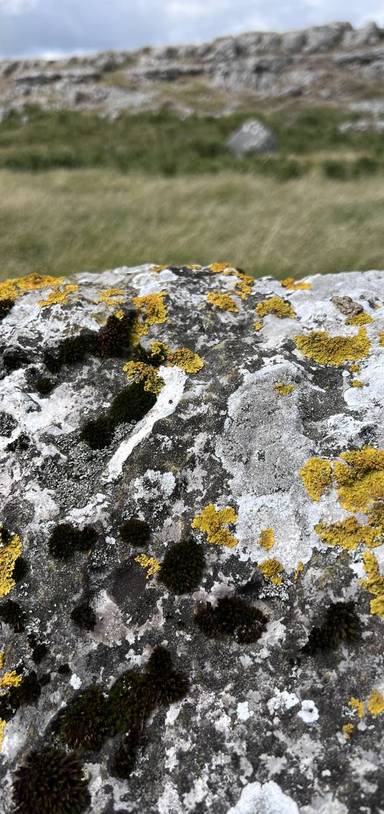 Preview of Newbiggin Crags & Stomping Views