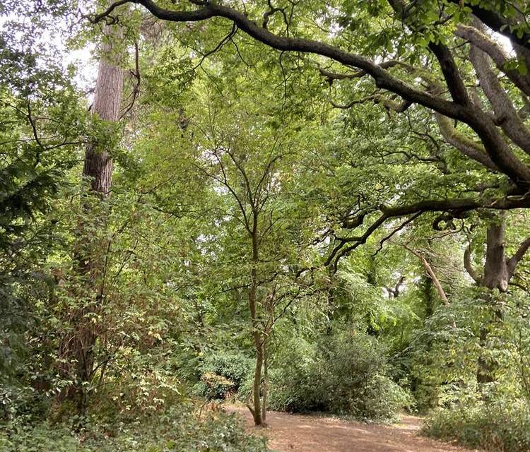 Preview of Green Chain Walk Section 5