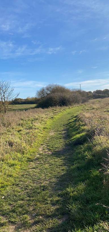 Preview of North Weald Bassett country walk