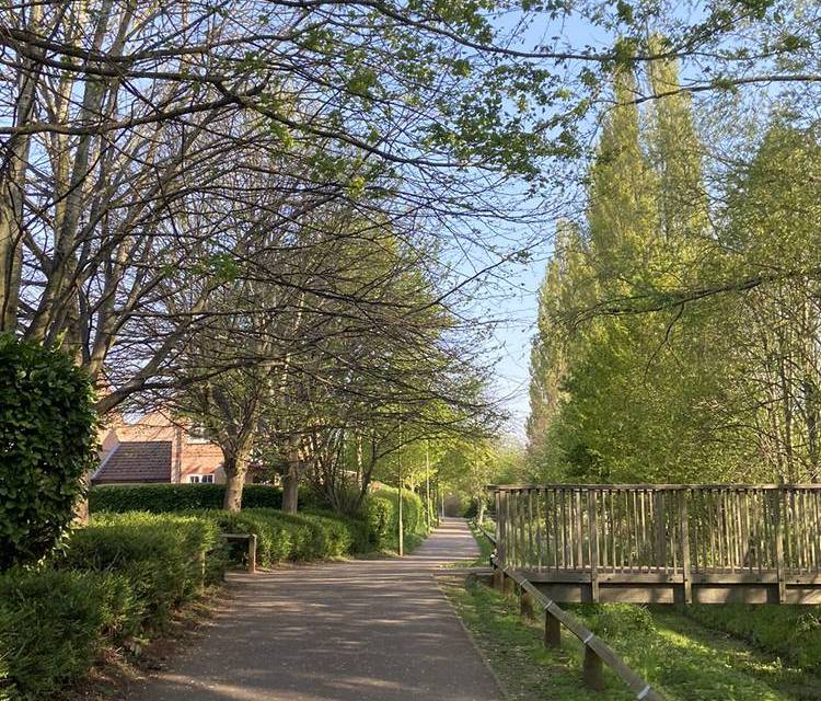 Preview of Grimsbury Health Walk
