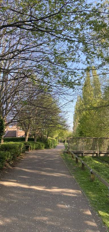 Preview of Grimsbury Health Walk