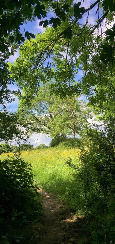 Preview of The Story of The One