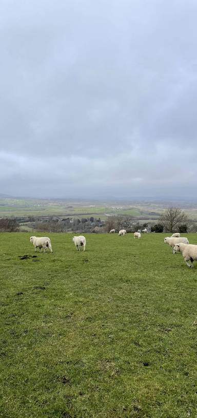 Preview of Amberley Mount via South Downs Way