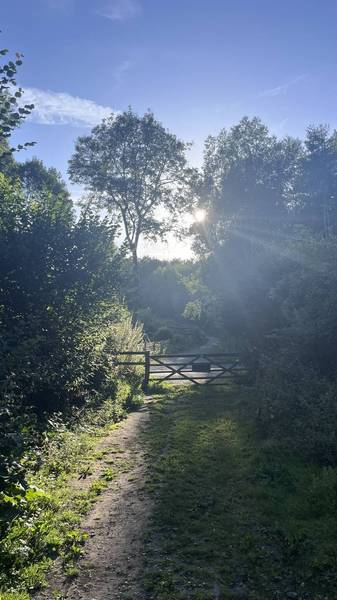 Preview of A charming walk in Kent