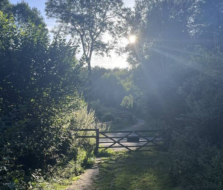 Preview of A charming walk in Kent