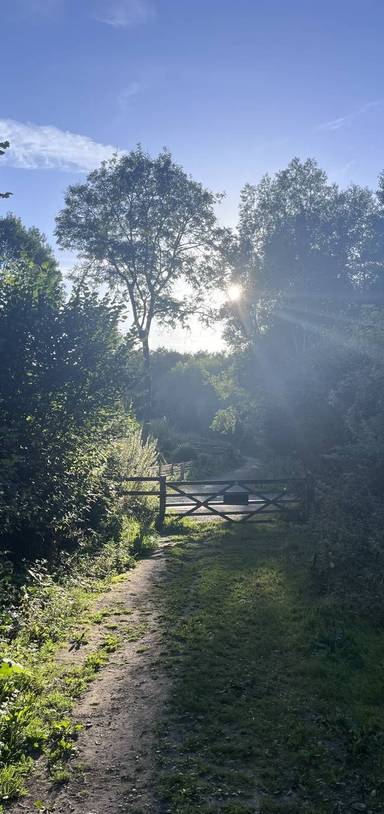 Preview of A charming walk in Kent